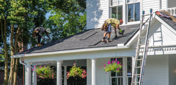 Best Local Roofing Companies  in Stanaford, WV